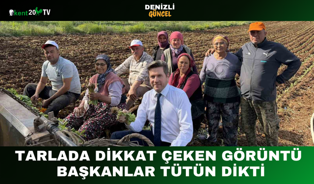 Tarlada Dikkat Çeken Görüntü Başkanlar Tütün Dikti