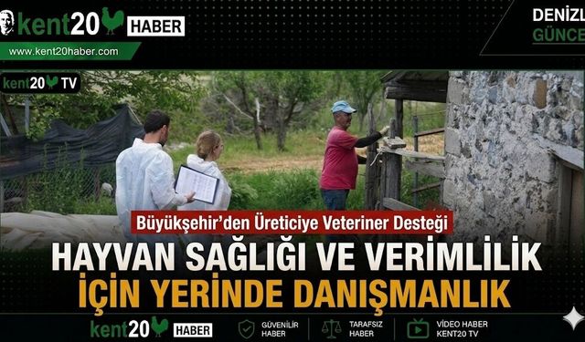 Hayvan Sağlığı ve Verimlilik İçin Yerinde Danışmanlık