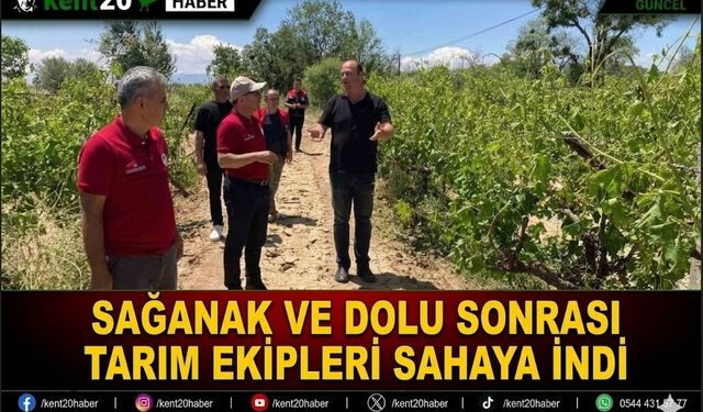 Sağanak ve Dolu Sonrası Tarım Ekipleri Sahaya İndi