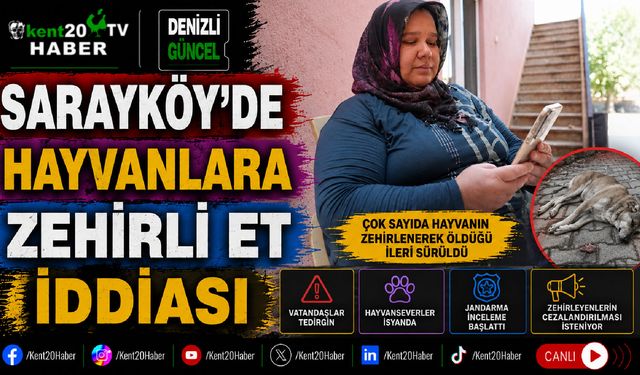 Sarayköy'de Hayvanlara Zehirli Et İddiası