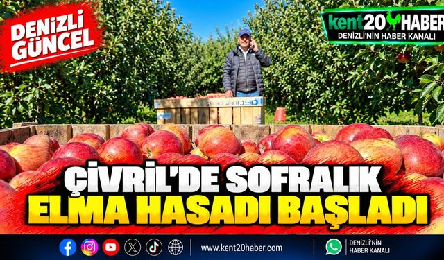 ÇİVRİL'DE SOFRALIK ELMA HASADI BAŞLADI