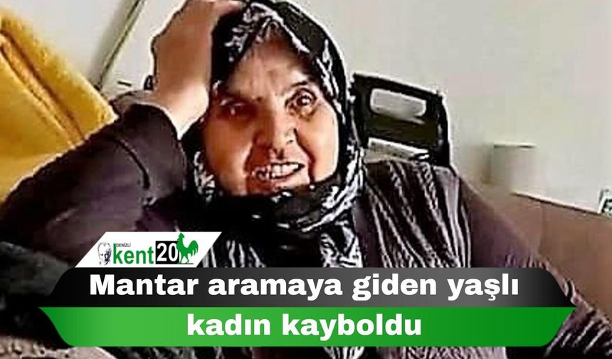Mantar aramaya giden yaşlı kadın kayboldu