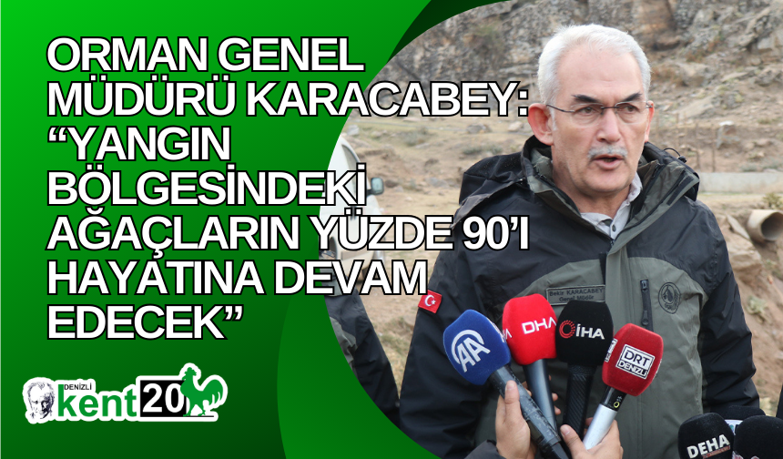 Orman Genel Müdürü Karacabey: “Yangın bölgesindeki ağaçların yüzde 90’ı hayatına devam edecek”