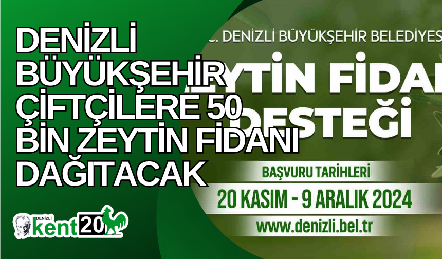 Denizli Büyükşehir çiftçilere 50 bin zeytin fidanı dağıtacak