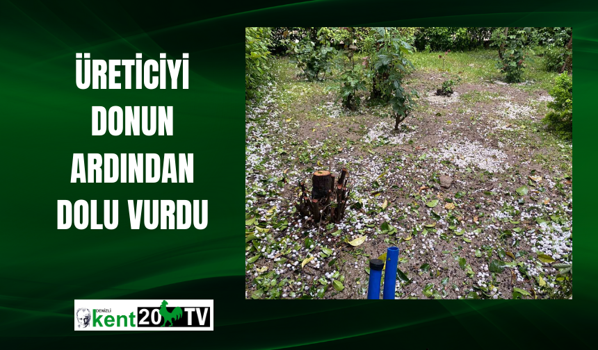 Üreticiyi donun ardından dolu vurdu