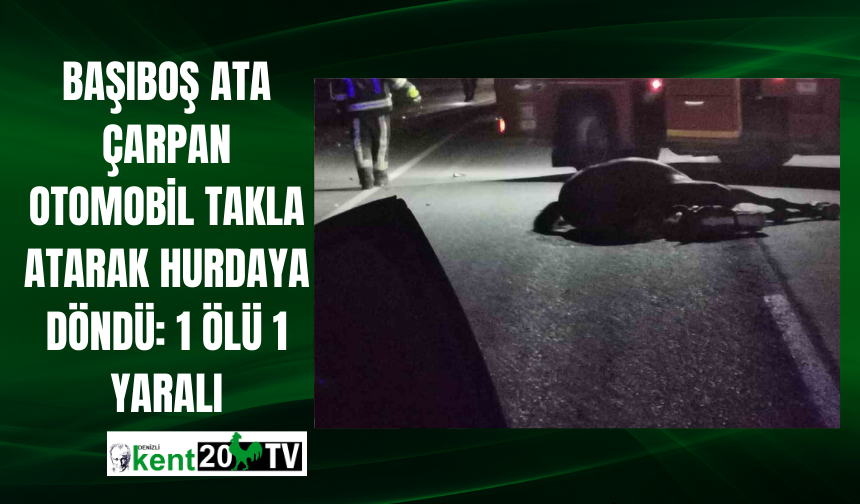 Başıboş ata çarpan otomobil takla atarak hurdaya döndü: 1 ölü 1 yaralı