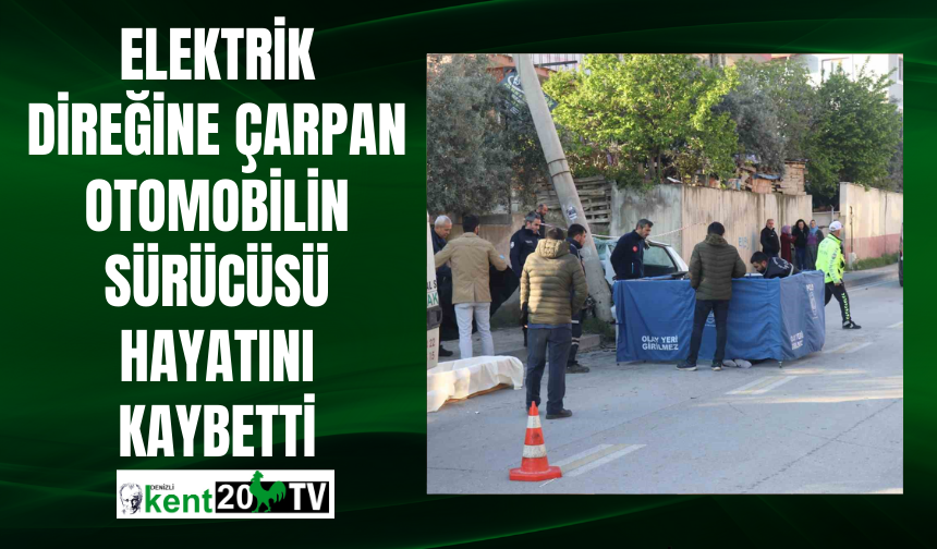 Elektrik direğine çarpan otomobilin sürücüsü hayatını kaybetti