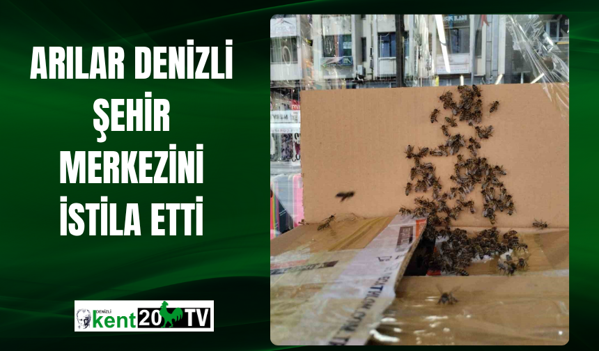 Arılar Denizli şehir merkezini istila etti