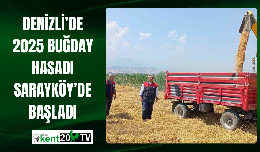 Denizli’de 2025 Buğday Hasadı Sarayköy’de Başladı