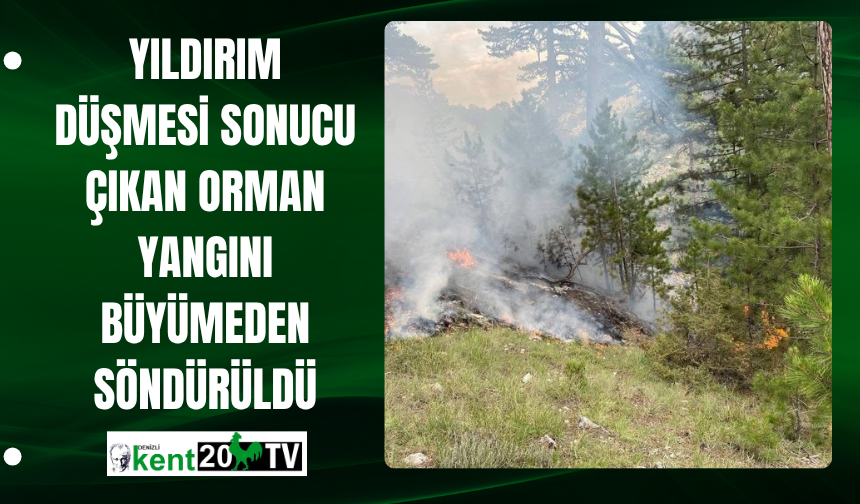 Yıldırım düşmesi sonucu çıkan orman yangını büyümeden söndürüldü
