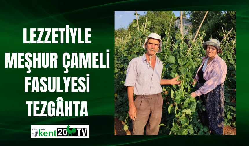 Lezzetiyle Meşhur Çameli Fasulyesi Tezgâhta