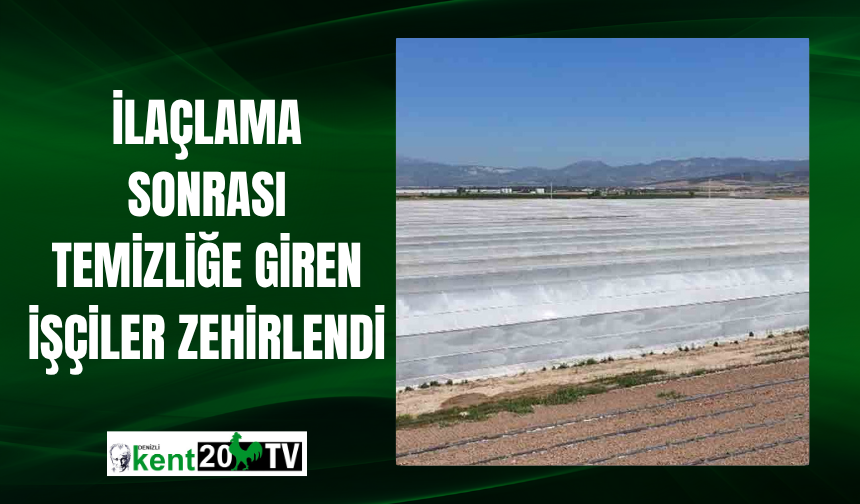 İlaçlama Sonrası Temizliğe Giren İşçiler Zehirlendi