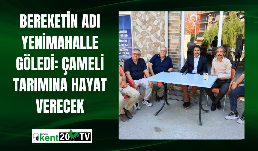 Bereketin Adı Yenimahalle Göledi: Çameli Tarımına Hayat Verecek