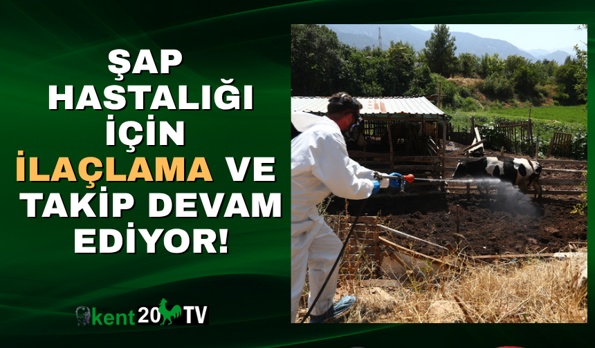 PAMUKKALE BELEDİYESİ'NDEN HAYVANCILIĞA TAM DESTEK