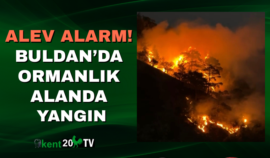 ALEV ALARM! Buldan’da Ormanlık Alanda Yangın