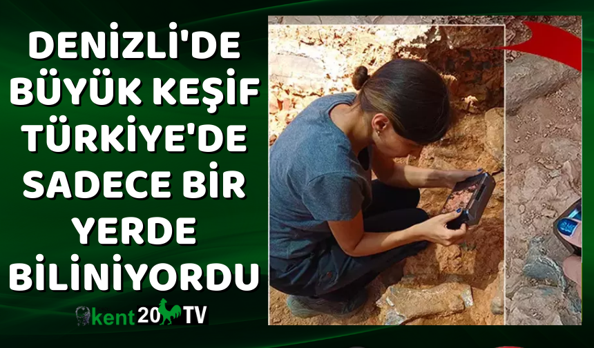 Denizli'de büyük keşif Türkiye'de sadece bir yerde biliniyordu