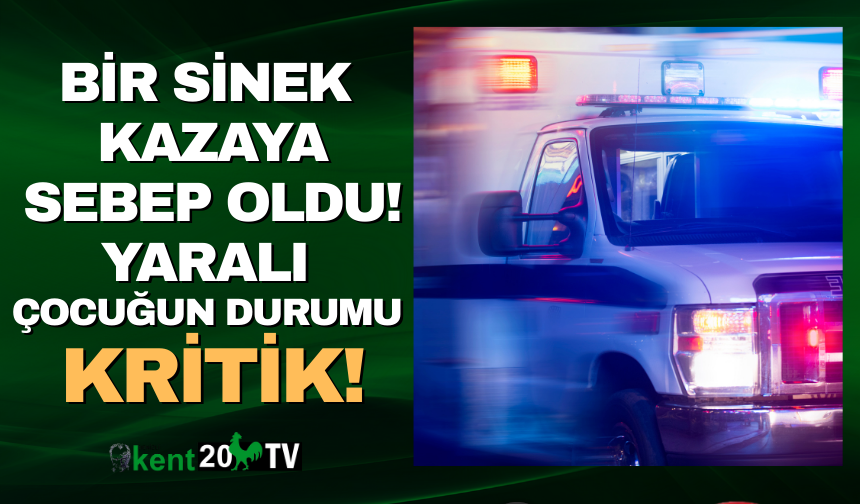 Denizli'de motor kazasında 6 yaşındaki çocuk ağır yaralandı!