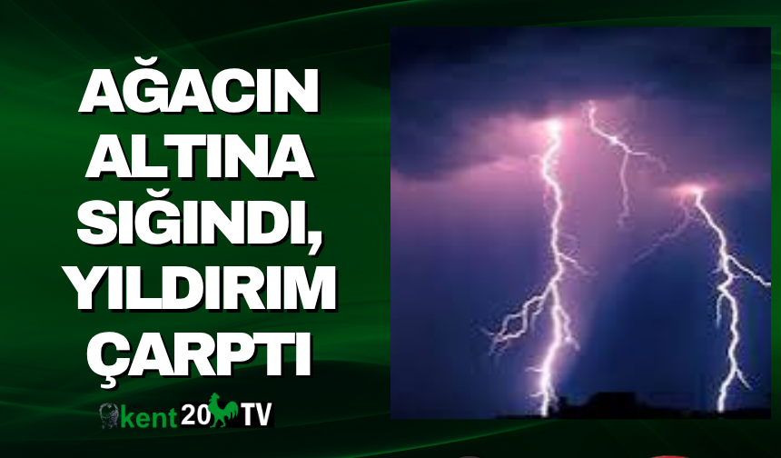 Ağacın Altına Sığındı, Yıldırım Çarptı