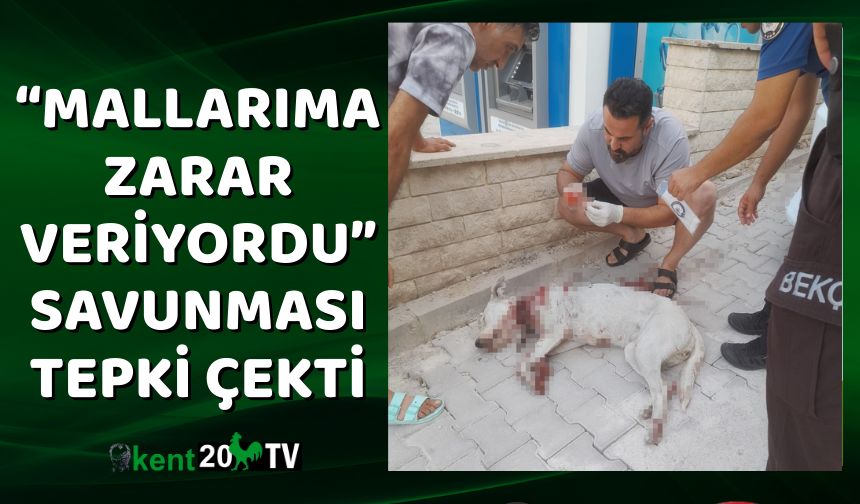 “Mallarıma zarar veriyordu” savunması tepki çekti