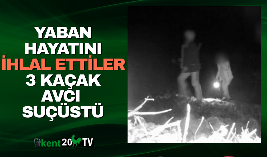 Yaban hayatını ihlal ettiler 3 kaçak avcı suçüstü