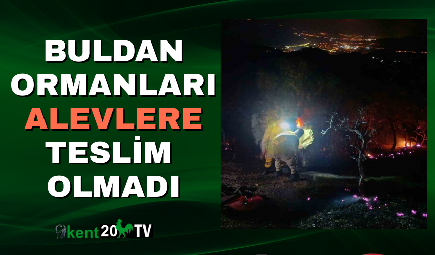 Buldan Ormanları Alevlere Teslim Olmadı