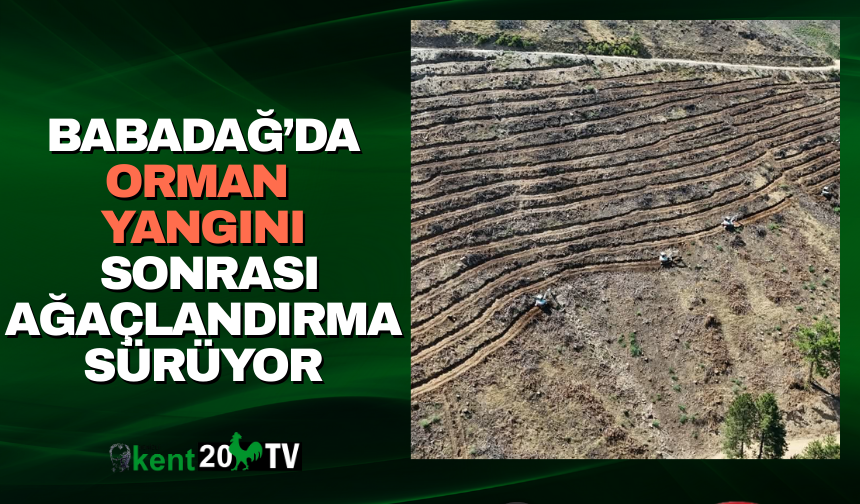 Babadağ’da orman yangını sonrası ağaçlandırma sürüyor