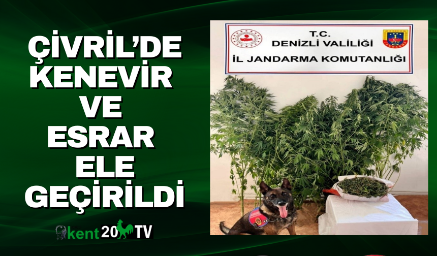 Çivril’de Kenevir ve Esrar Ele Geçirildi