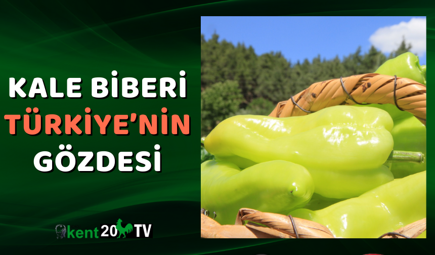 Kale Biberi Türkiye’nin Gözdesi