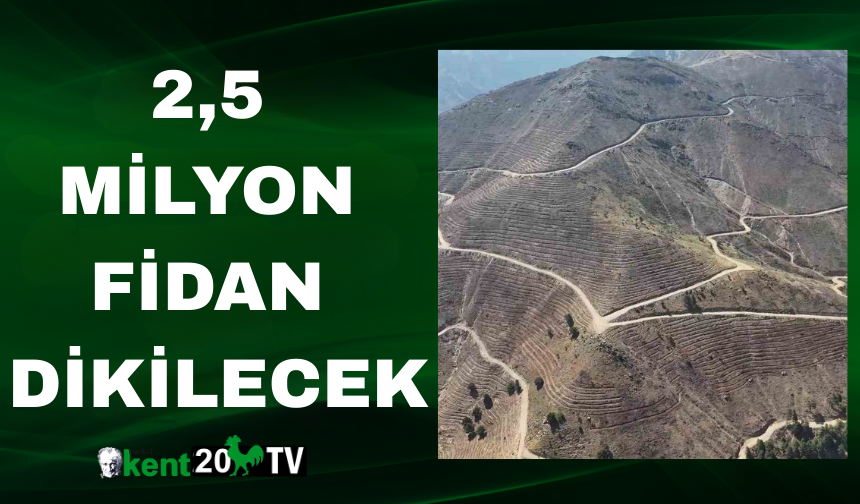 2,5 Milyon Fidan Dikilecek