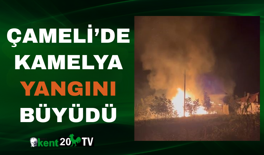 Çameli’de kamelya yangını büyüdü