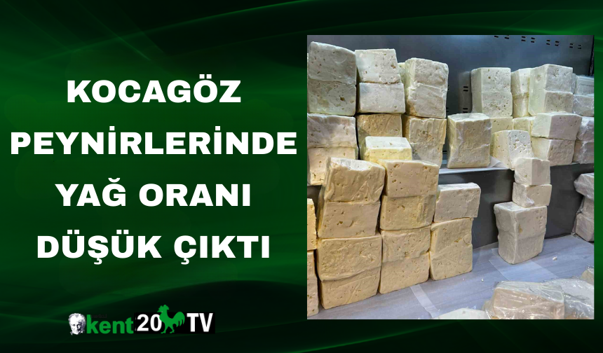Kocagöz Peynirlerinde Yağ Oranı Düşük Çıktı