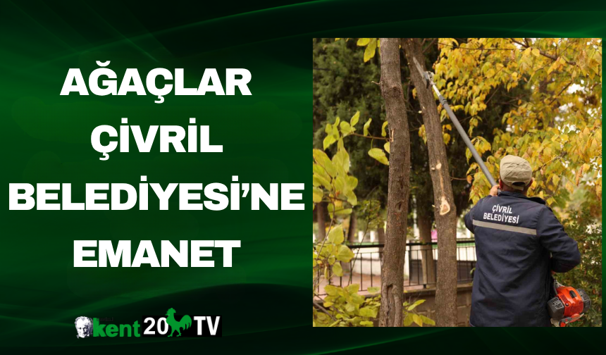 Ağaçlar Çivril Belediyesi’ne Emanet