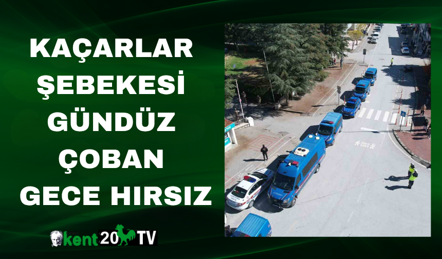 Kaçarlar Şebekesi Gündüz Çoban, Gece Hırsız