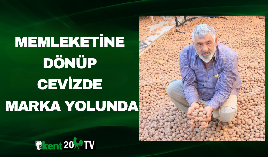 Memleketine Dönüp Cevizde Marka Yolunda