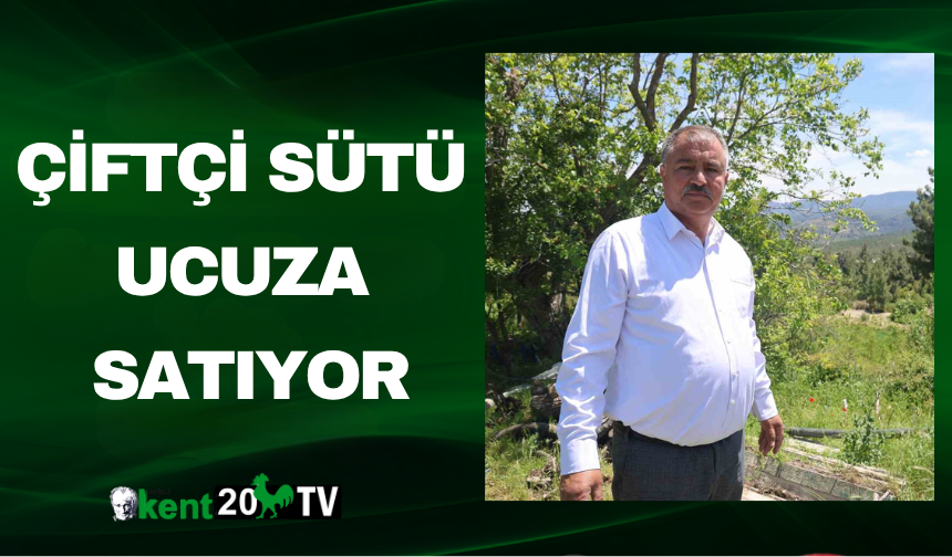 Çiftçi Sütü Ucuza Satıyor