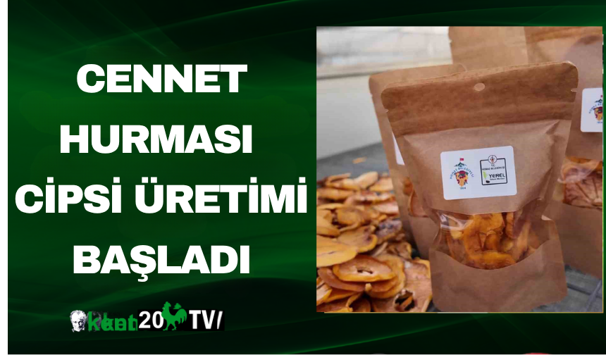 Cennet Hurması Cipsi Üretimi Başladı