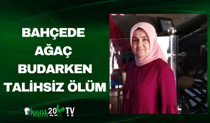 Bahçede Ağaç Budarken Talihsiz Ölüm