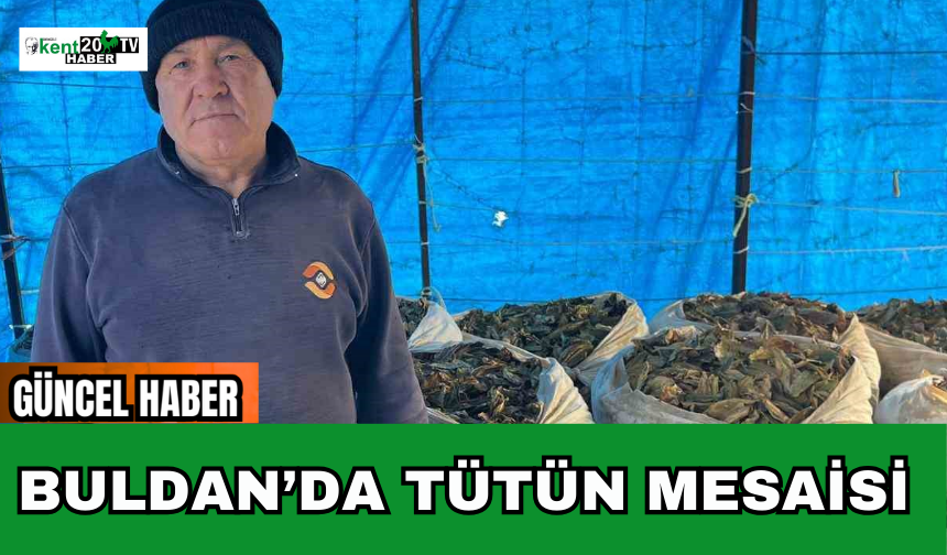 Buldan’da Tütün Mesaisi