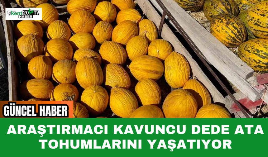 Araştırmacı Kavuncu Dede Ata Tohumlarını Yaşatıyor