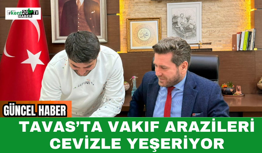 Tavas’ta Vakıf Arazileri Cevizle Yeşeriyor