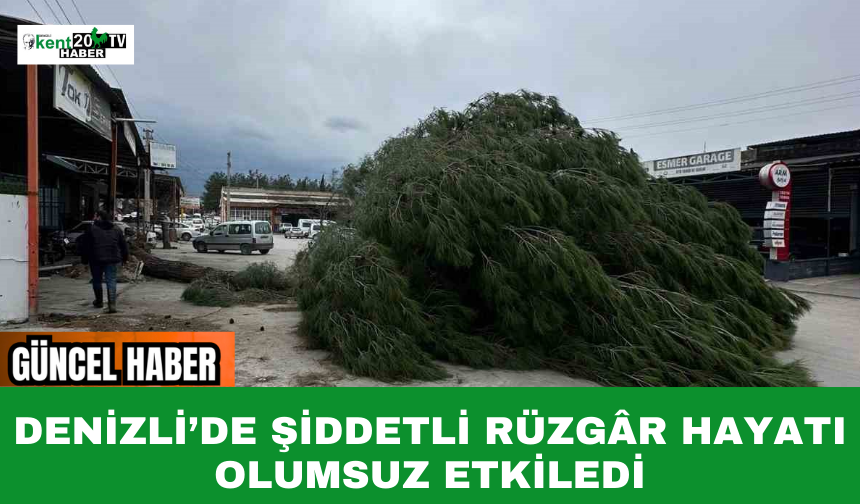Denizli’de Şiddetli Rüzgâr Hayatı Olumsuz Etkiledi