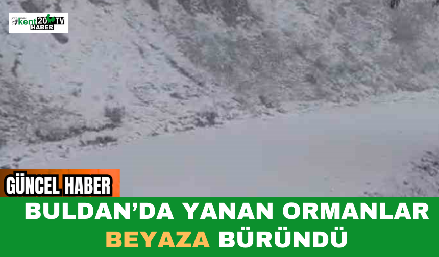 Buldan’da Yanan Ormanlar Beyaza Büründü