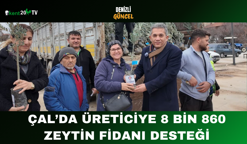 Çal’da Üreticiye 8 Bin 860 Zeytin Fidanı Desteği