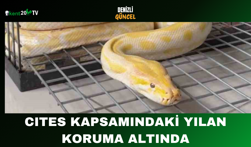 CITES Kapsamındaki Yılan Koruma Altında