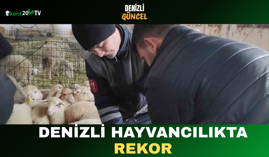Denizli Hayvancılıkta Rekor