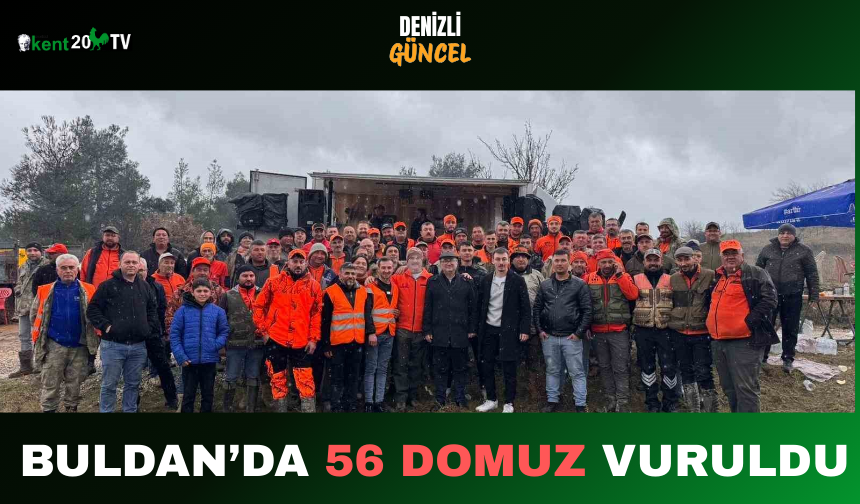 Buldan’da 56 Domuz Vuruldu