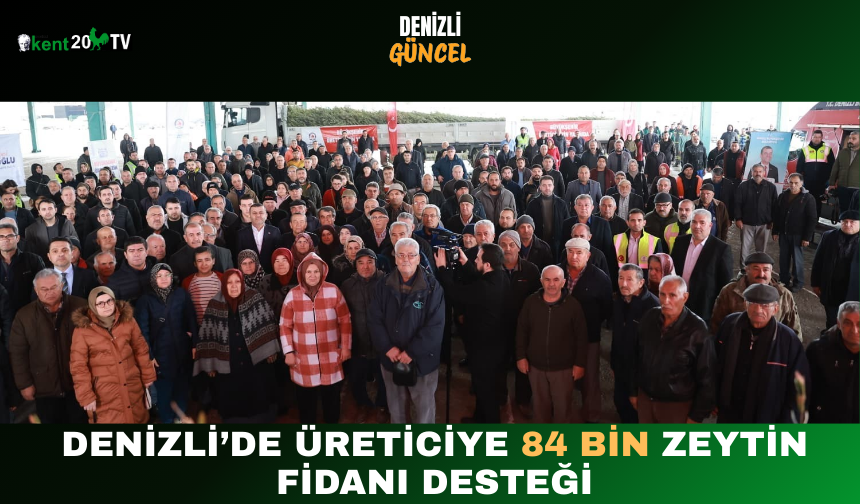 Denizli’de Üreticiye 84 Bin Zeytin Fidanı Desteği