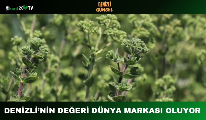Denizli’nin Değeri Dünya Markası Oluyor