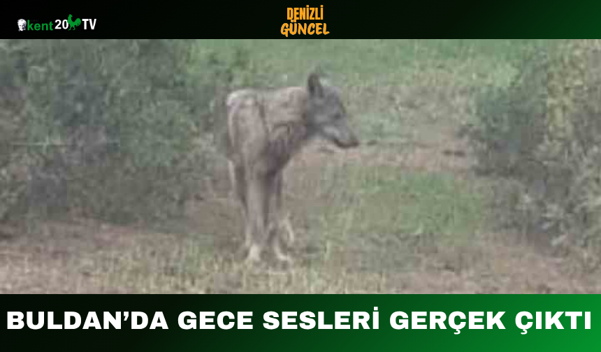 Buldan’da Gece Sesleri Gerçek Çıktı