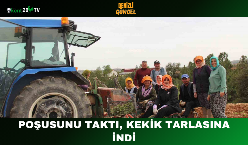 Poşusunu taktı, kekik tarlasına indi